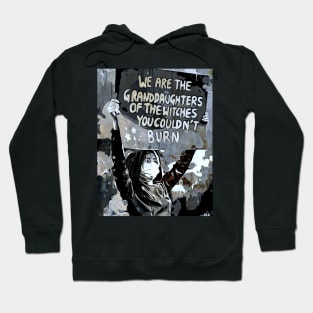 The Witches You Could Not Burn Hoodie